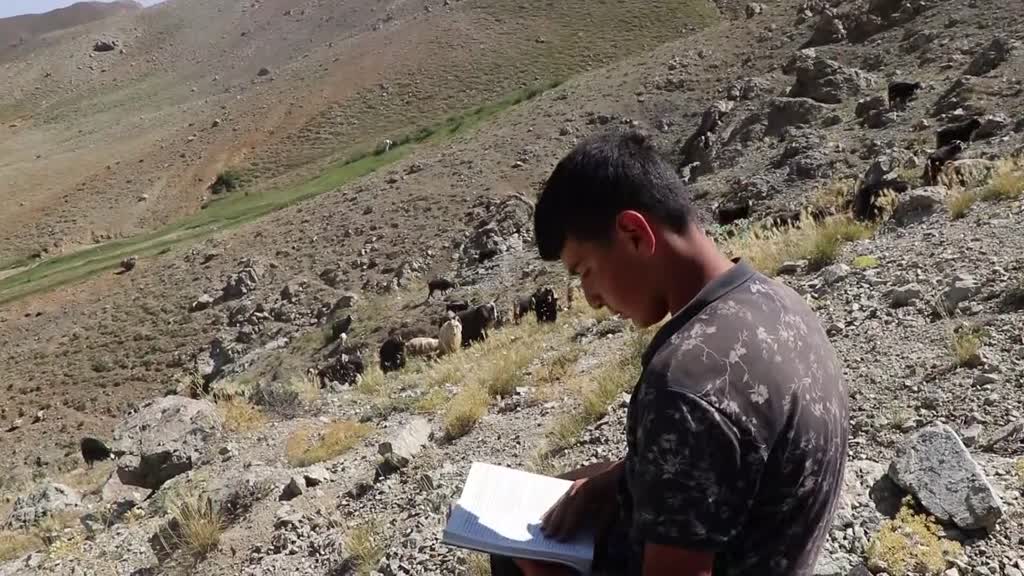 ELAZIĞ - Yaylada keçi otlatarak hazırlandığı LGS sınavında 494 puan aldı