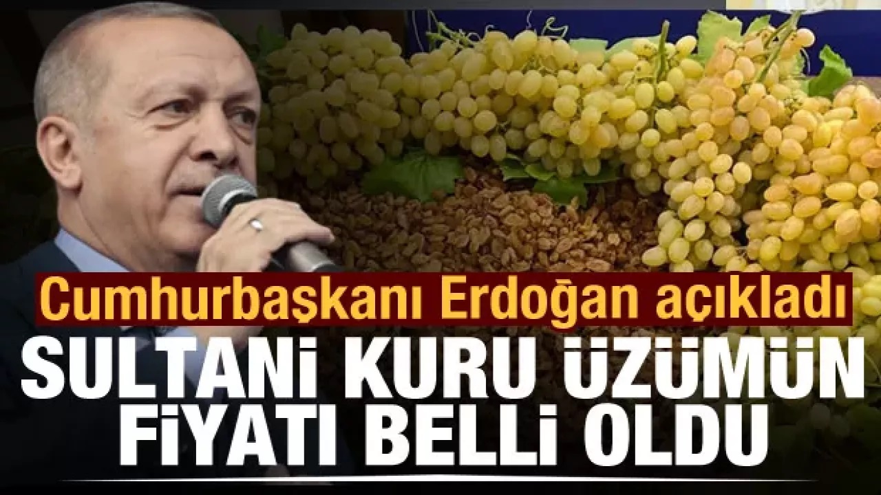 Erdoğan açıkladı: Kuru üzüm alım fiyatı 27 TL