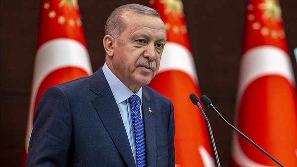 Erdoğan'dan belediyelere 'sokak hayvanları' için talimat