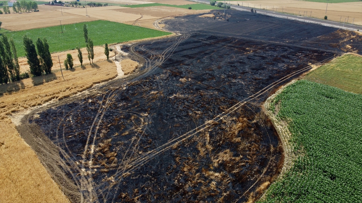 Eskişehir'de 60 dönüm tarım alanının zarar gördüğü yangına atmacanın neden olduğu belirlendi