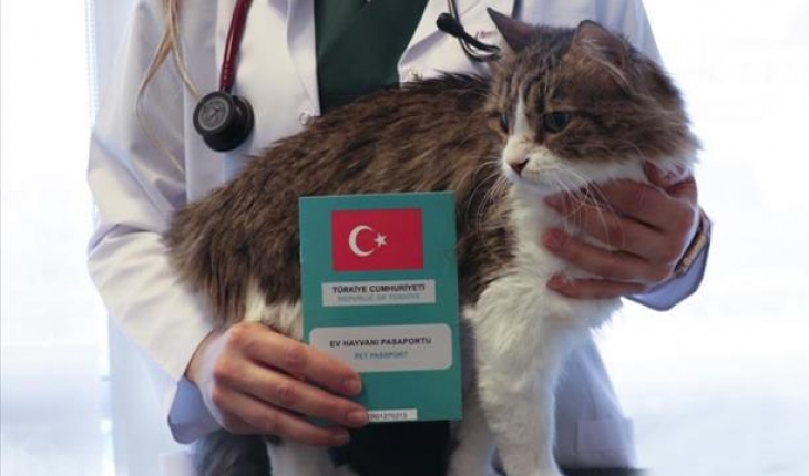 Ev hayvanlarına dijital kimlik uygulamasında süre doluyor