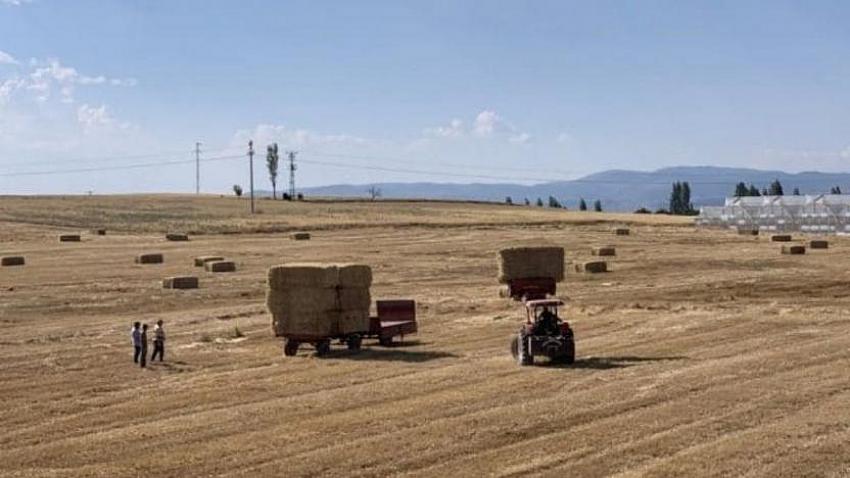 Fiyat Artış Uyarısı ;Kuraklık 'Türkiye'nin tahıl ambarı'nı vurdu 