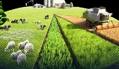 'Gıda savaşları başlıyor, Türkiye acilen adımlar atmalı'