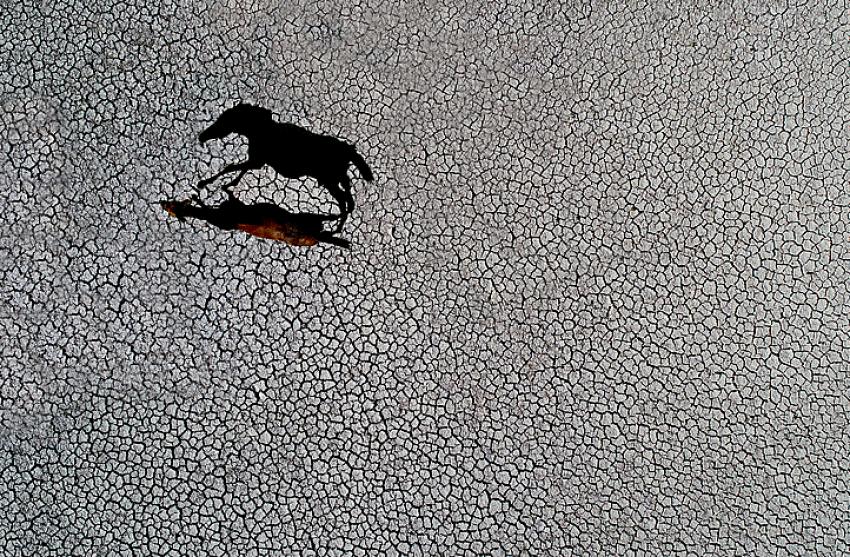 Göller çöllere dönüyor: Sebebi iklim değil insan