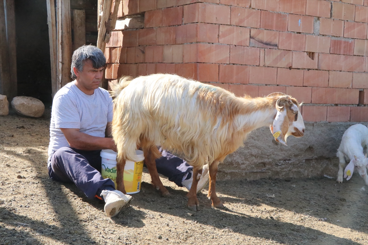 Görme engelli çift, zorlu hayatlarını birbirlerine destek olarak kolaylaştırıyor