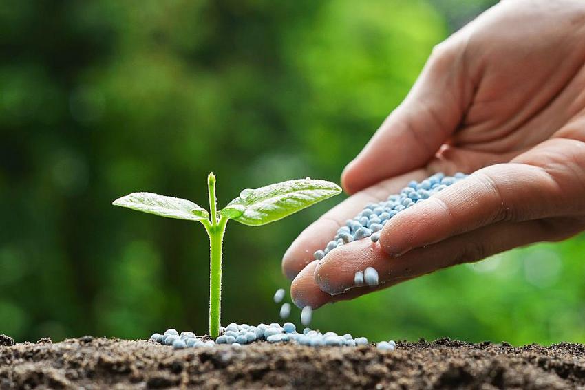Gübre fiyatlarına karşı hükümetten önlem!