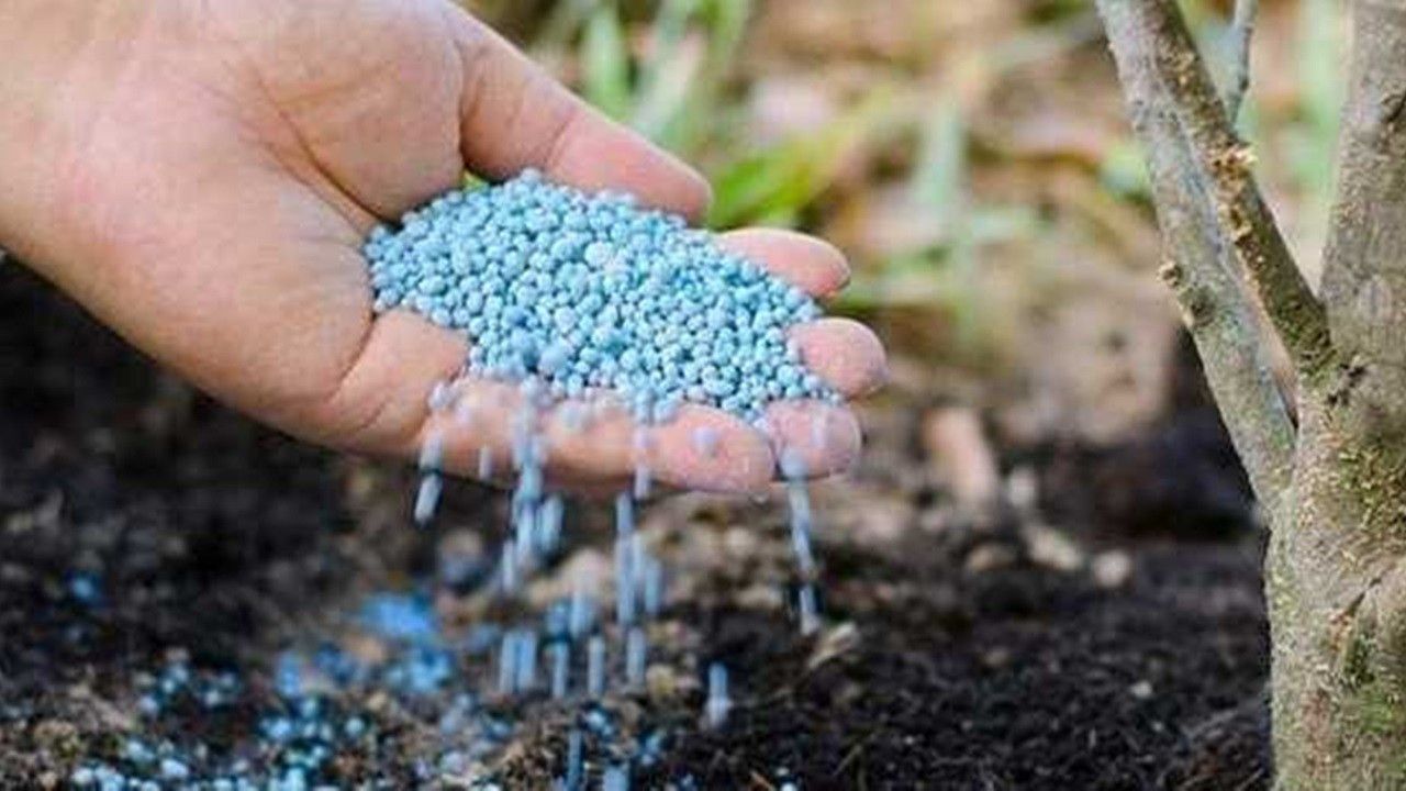 Gübre piyasası allak bullak! Fiyatlara üst üste zam geldi