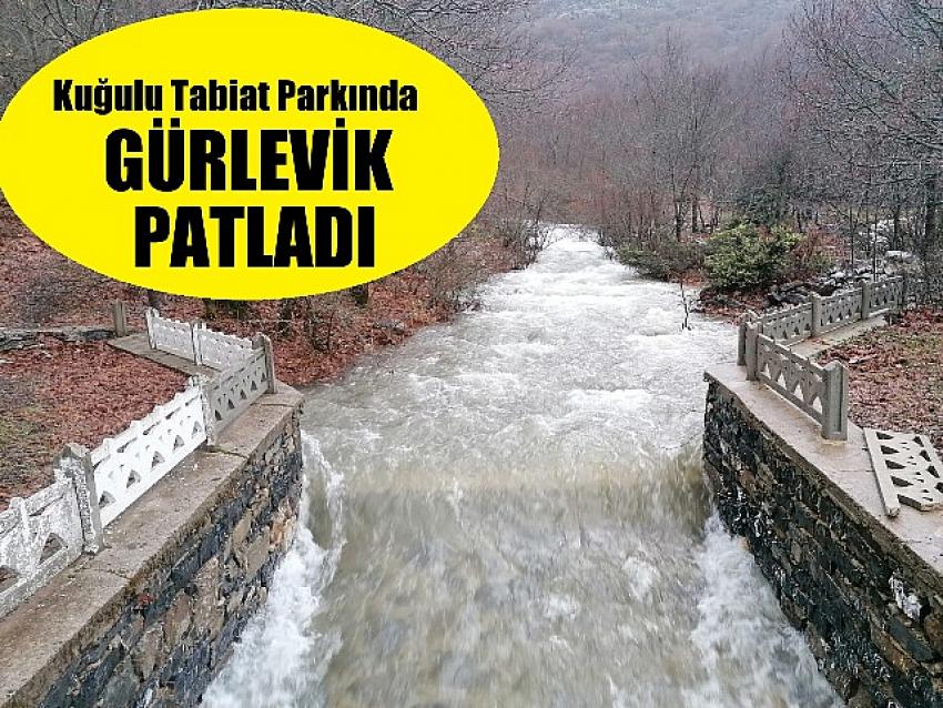 GÜRLEVİK PATLADI