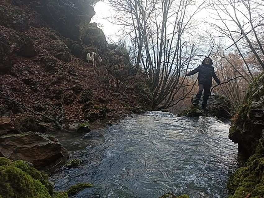 GÜRLEVİK PATLADI FOTOHABER