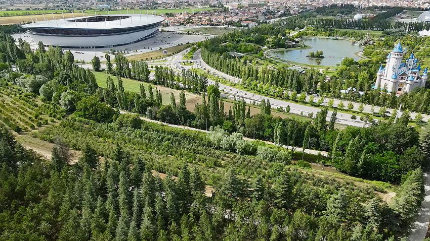 Halka açık üniversite çiftliğindeki meyveleri ziyaretçiler hasat ediyor 