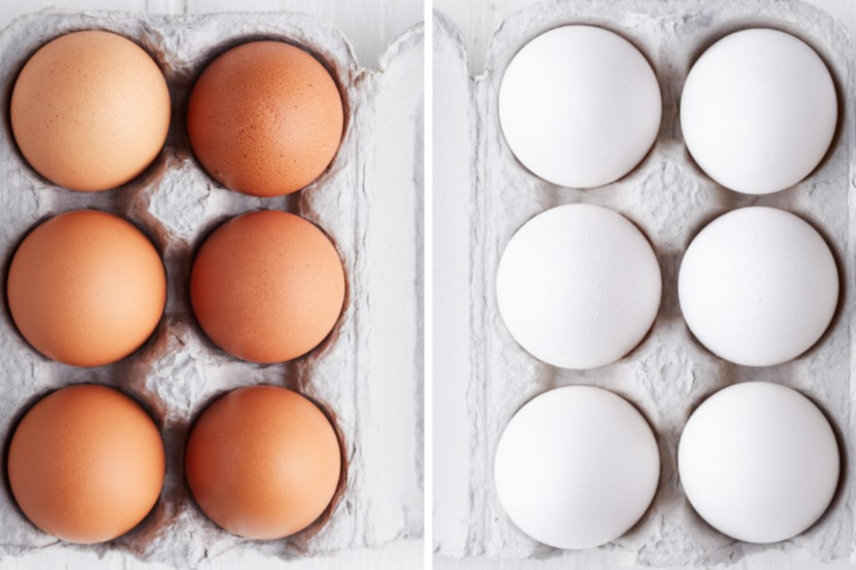 Hangi yumurta daha sağlıklı? Beyaz mı, kahverengi mi?