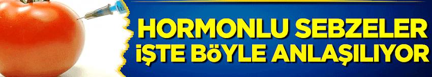 HORMONLU MEYVE VE SEBZE NASIL ANLAŞILIR?