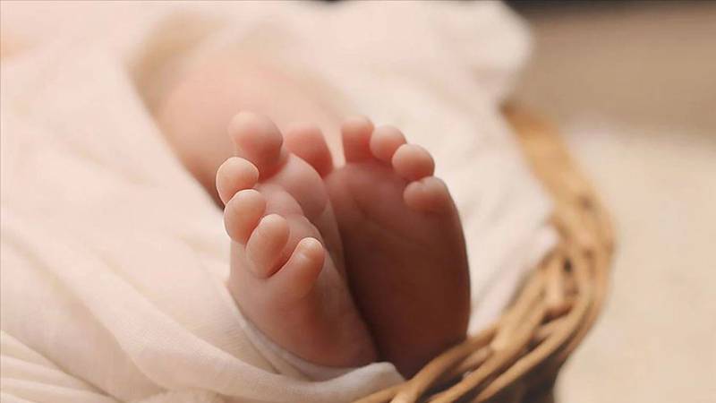 Hükümet harekte geçti! Üç çocuğa asgari ücret kadar destek