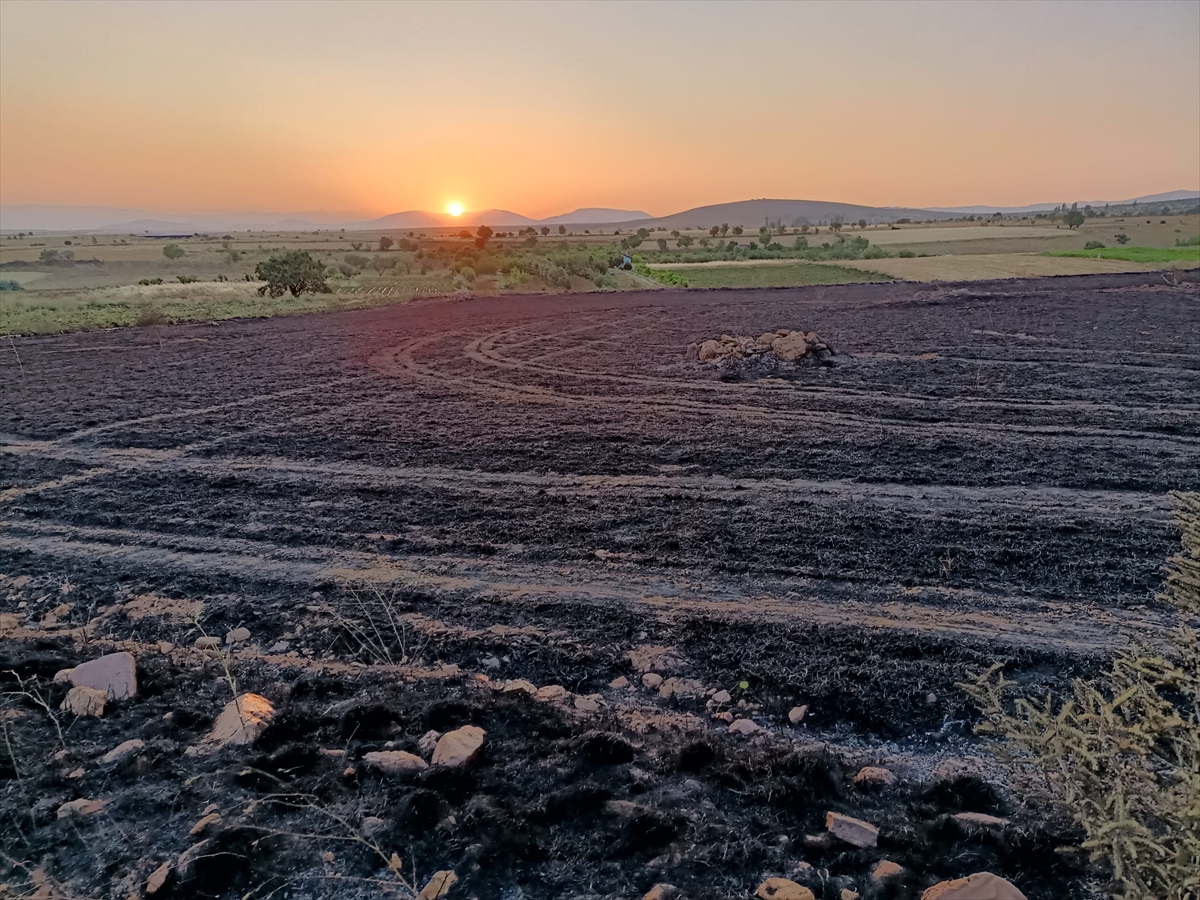 Hüyük'te arpa ekili tarla yandı