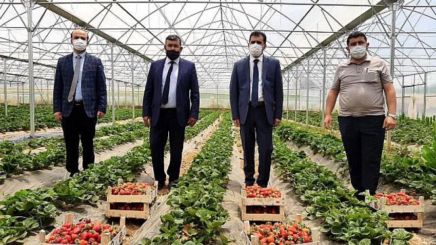 Hüyük'te coğrafi tescilli çileğin tanıtım ve eğitim toplantısı