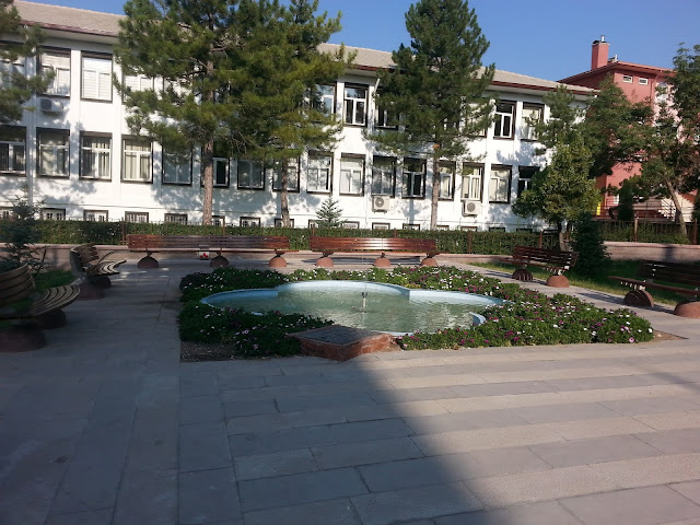 İçişleri Bakanlığı'ndan 81 il valiliğine  Orman genelgesi