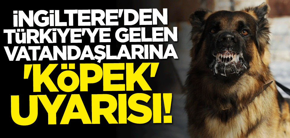 İngiltere'den Türkiye'ye gelen vatandaşlarına "köpek" uyarısı