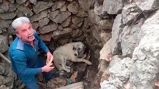 'İnsanlık ölmemiş' dedirten Görüntüler: Kuyuya düşen köpeği vatandaşlar kurtardı VİDEOHABER
