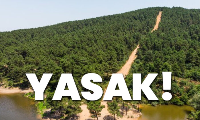 İstanbul'da 15 Ekim'e kadar ormanlık alanlara giriş yasaklandı