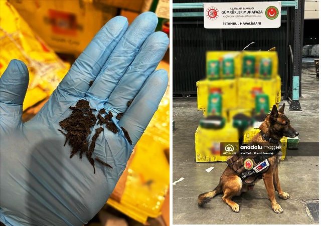 İstanbul'da gümrük muhafaza ekipleri 195 kilogram çaya emdirilmiş uyuşturucu ele geçirdi