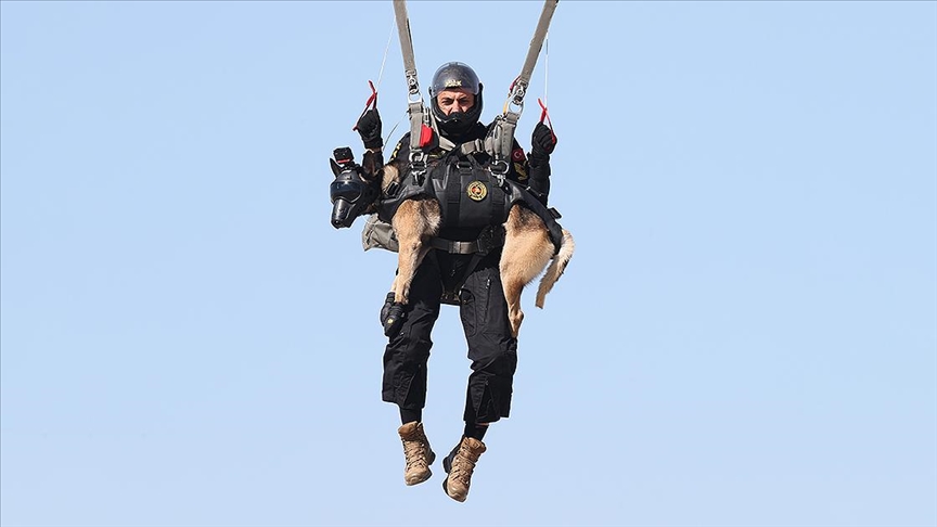 Jandarmanın arama kurtarma köpeği "Maça", zorlu operasyon bölgelerine paraşütle inecek