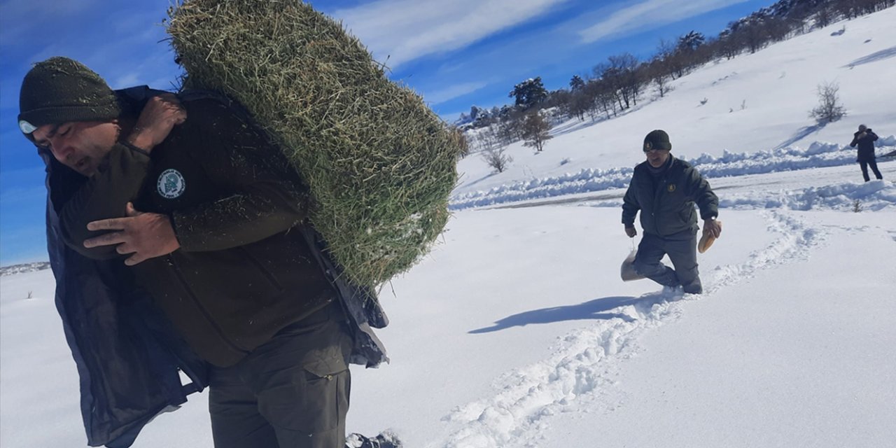 Kar altındaki coğrafyasında yaban hayvanları unutulmadı