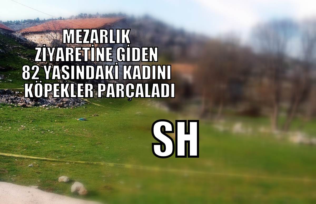 YİNE  KÖPEK SALDIRISI