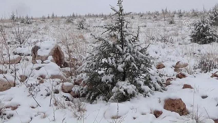 Karaman'a Mevsimin ilk karı yağdı