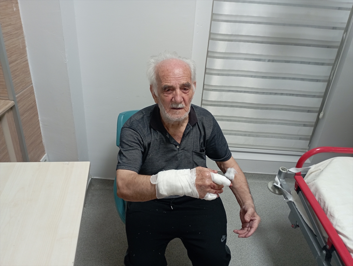 Karaman'da köpeğin saldırdığı yaşlı adam yaralandı