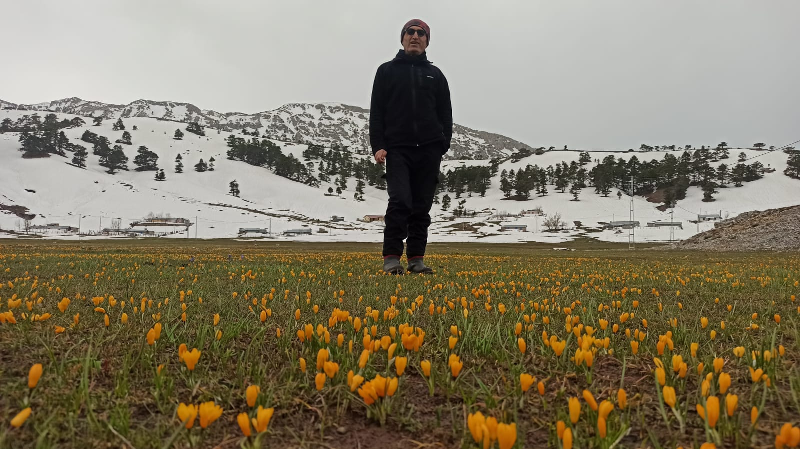 Karla kaplı Toroslar çiğdemlerle bir başka güzel VİDEO HABER