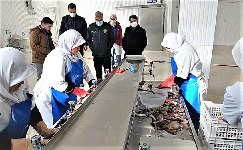 Kaymakam Erdoğan Balık İşleme tesisini inceledi