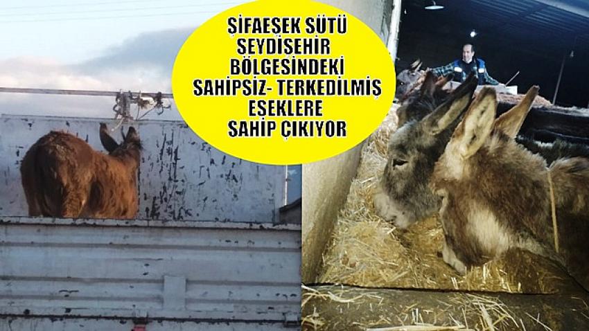 Kışın aç ve susuz alan eşeğe sahip çıktılar