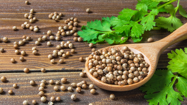 Kişniş nedir? Kişnişin faydaları nelerdir?