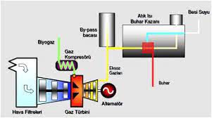 Kojenerasyon Avantajları ile Siz de Tanışın