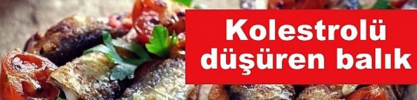 Kolestrolü düşüren tek balık buymuş 