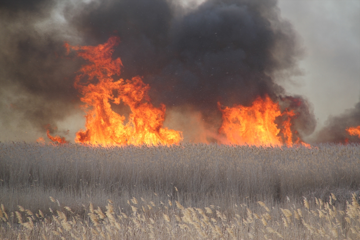 KONYA - Beyşehir Gölü kıyılarındaki sazlık alanda yangın çıktı