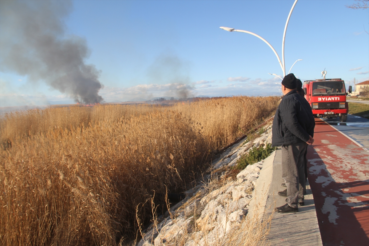 KONYA - Beyşehir Gölü kıyısındaki sazlık alan yangında zarar gördü