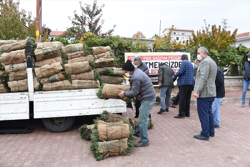 - Konya Büyükşehir Belediyesi, çiftçiye 1 milyon 200 bin lavanta fidesi desteğinde bulundu