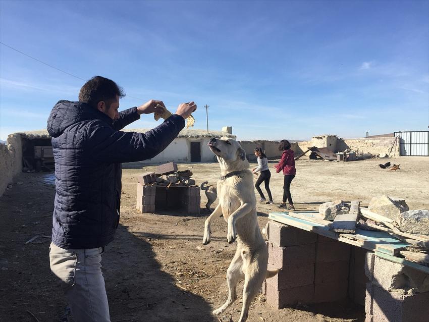 Konya Büyükşehir Evde  bakım için her hayvana  125 lira 