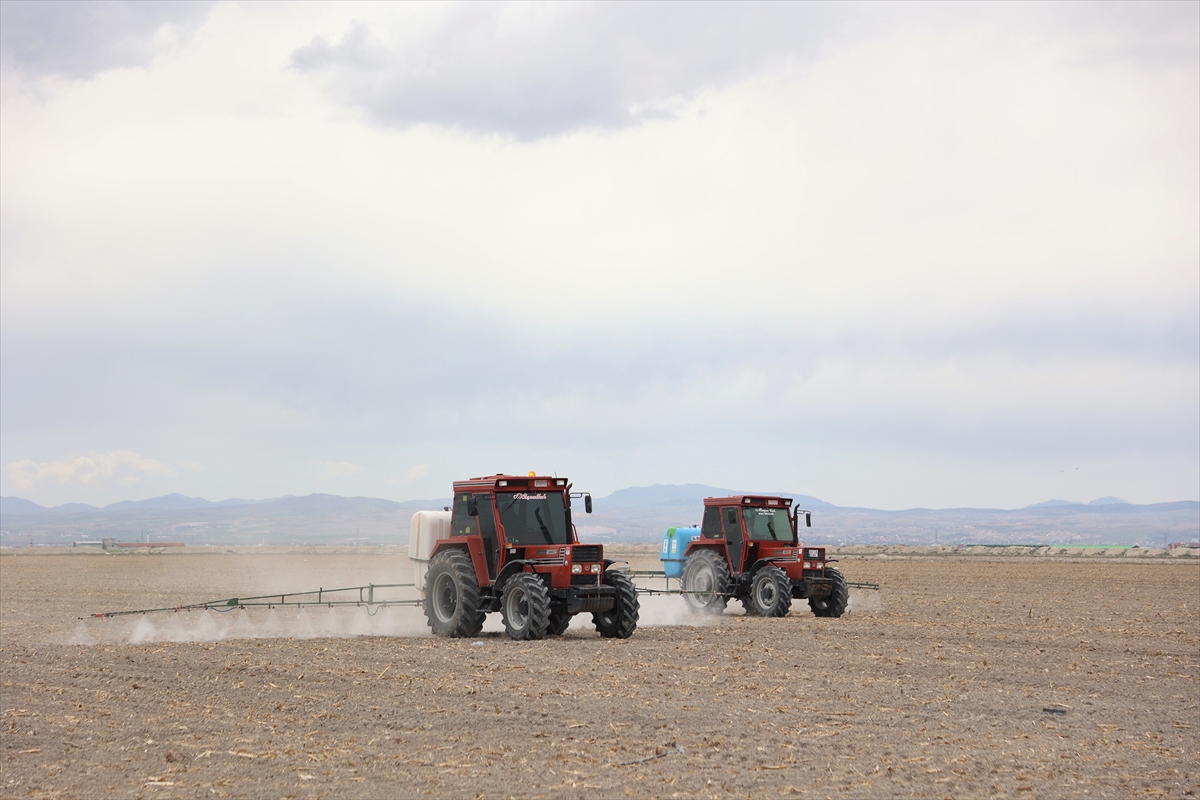 Konya'da 14 milyon metrekarelik arazide tarımsal üretim yapılıyor