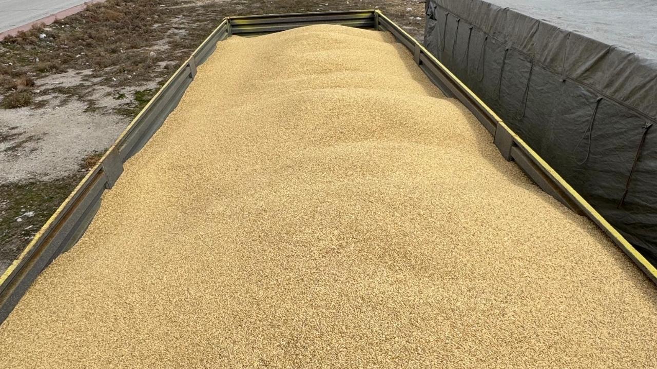 Konya’da 250 Ton Arpa Çalındı: Hırsız Gece Bekçisi Çıktı