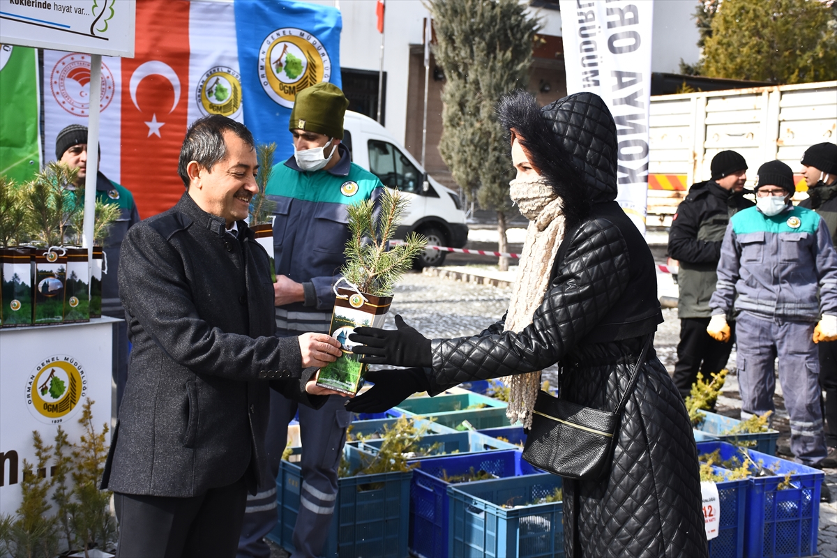 Konya'da 40 bin karaçam ve sedir fidanı dağıtıldı
