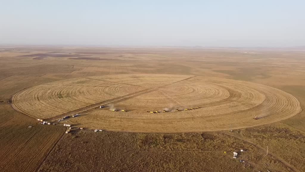Konya'da 68 futbol sahası büyüklüğündeki çember tarlalarda hasat zamanı