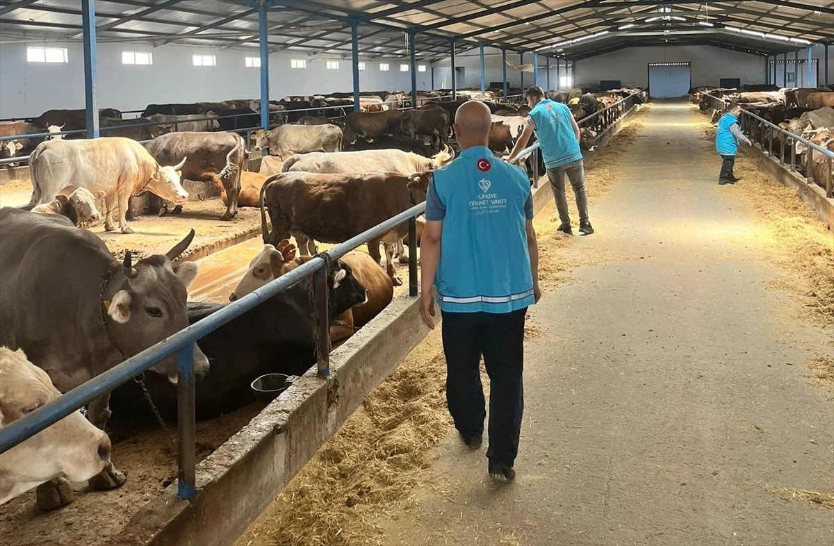 Konya'da 7 Bin 200 Kurban Hissesi İhtiyaç Sahiplerine Dağıtılacak