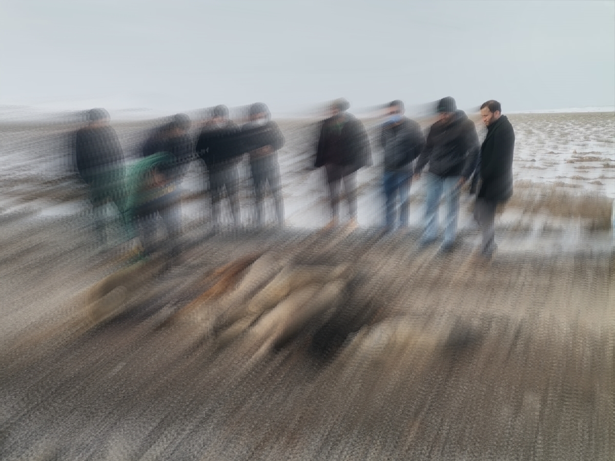 Konya'da 7 sokak köpeği ölüsü bulundu