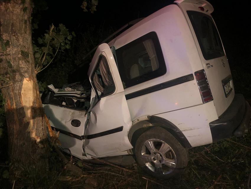 Konya'da ağaca çarpan kamyonetin sürücüsü öldü
