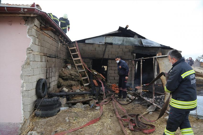 Konya'da ağılda çıkan yangında 38 küçükbaş hayvan telef oldu