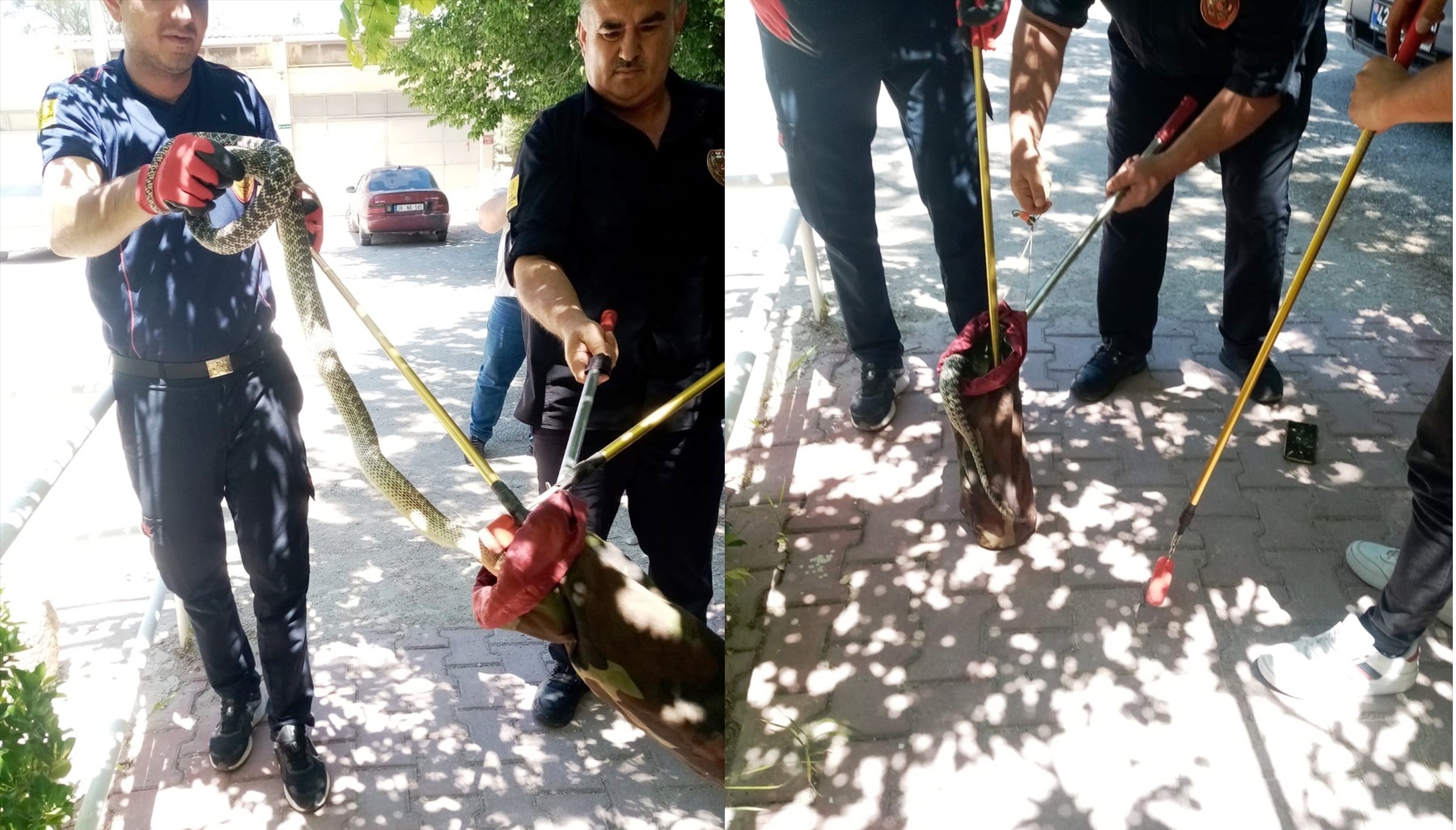 Konya'da bahçeye giren yılan itfaiye ekiplerince yakalandı
