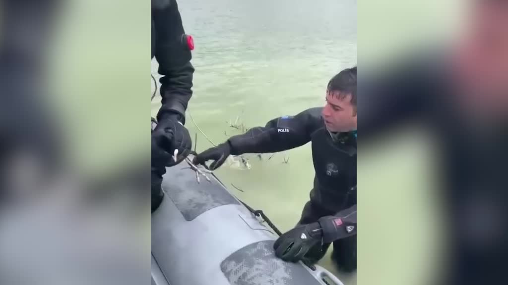 Konya'da barajda mahsur kalan karabatağı dalgıç polisi kurtardı