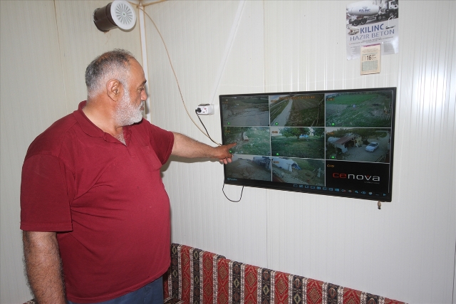 Beyşehir'de besihaneye gelen kurt iki köpeği telef etti